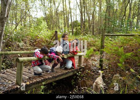 Mutter und Kinder mit Hund auf dem Steg im Wald Stockfoto