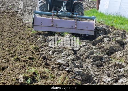 Landtraktor lockert den Boden auf dem Feld mit einer Fräsmaschine für die Saatgutbearbeitung. Stockfoto