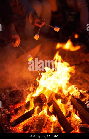 Familie toasten Marschmalows am Lagerfeuer Stockfoto