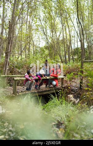 Familie auf Fußgängerbrücke in Wäldern Stockfoto