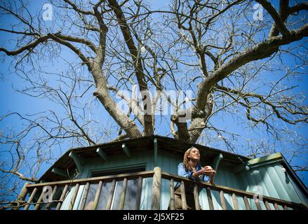 Junge Frau trinkt Kaffee auf sonnigem Baumhaus-Balkon Stockfoto