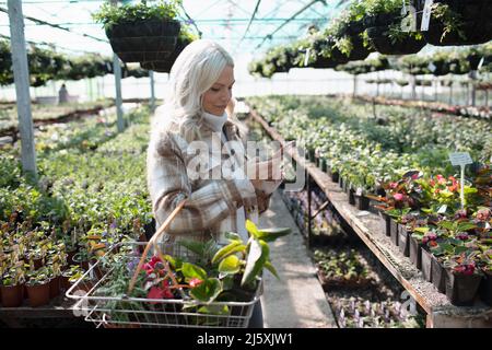 Frau mit Smartphone, die im Gartengeschäft nach Pflanzen einkauft Stockfoto