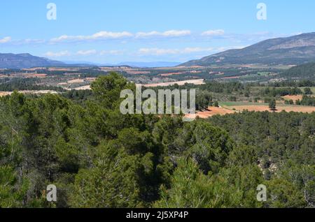 Gemischte ländliche Landschaft mit Weinbergen, Getreideanbau und mediterranem Wald in Requena, Region Valencia Stockfoto