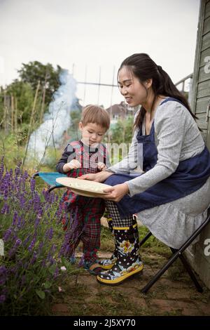 Mutter und Sohn mit geernteten Bohnen im Garten Stockfoto