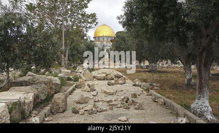 Felsen, die für den Einsatz gegen die israelische Polizei vorbereitet wurden, neben dem Felsendom auf dem Tempelberg, der den Muslimen als Haram esh-Sharif (Edles Heiligtum) in der Altstadt von Jerusalem, Israel, bekannt ist. Stockfoto