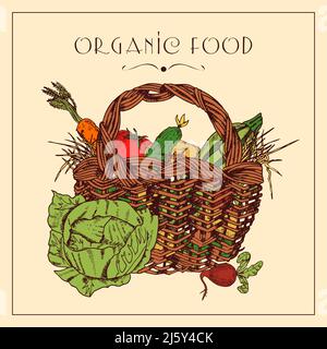 Vintage Landhausstil Erntekorb mit Karotten Gurken und Kohl Organic Food Poster flach abstrakt Vektor Illustration Stock Vektor