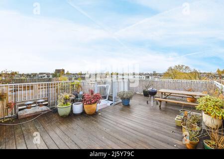 Verschiedene Topfpflanzen in verschiedenen Größen auf der Terrasse des Wohnhauses unter wolkigen blauen Himmel am Tag platziert Stockfoto