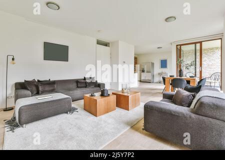 Komfortable graue Sofas in der Nähe des Tisches auf dem Teppich in einem hellen, stilvollen Wohnzimmer mit Fenstern und einer grünen Topfpflanze in der Villa Stockfoto