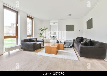 Komfortable graue Sofas in der Nähe des Tisches auf dem Teppich in einem hellen, stilvollen Wohnzimmer mit Fenstern und einer grünen Topfpflanze in der Villa Stockfoto