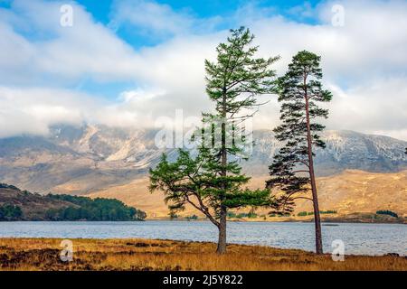 Ben Eighe vom Loch Clair in Torridon, Schottland Stockfoto