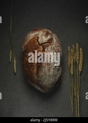 Von oben von gebackenem Brot Laib auf grauem Hintergrund mit Ähren aus Weizen in der Küche platziert Stockfoto