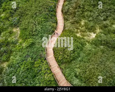 Luftaufnahme Paar zu Fuß auf Holzsteg zwischen grünen Bäumen Stockfoto