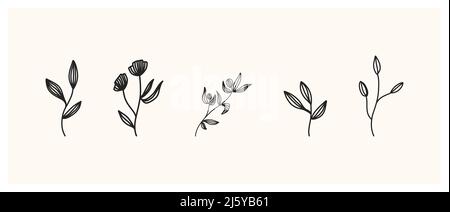 Set aus Kräutern und Wildblumen. Handgezeichnete florale Elemente. Vektorgrafik Stockfoto