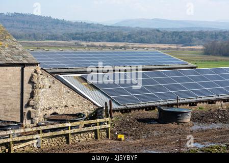 Sonnenkollektoren auf landwirtschaftlichen Gebäuden, Arnside, Cumbria. Stockfoto