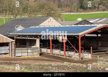 Sonnenkollektoren auf landwirtschaftlichen Gebäuden, Arnside, Cumbria. Stockfoto