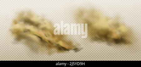 Braune Staubwolken aus fliegendem Sand und Erde. Grunge Textur von schmutzigem Smog oder Sandsturm isoliert auf transparentem Hintergrund. Vektor realistische Spritzer von po Stock Vektor