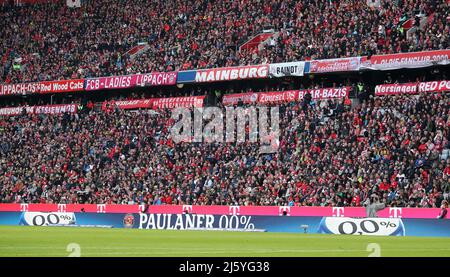 Paulaner Bande Muenchen München , Deutschland 23.4.2022 FC Bayern Muenchen Borussia Dortmund Fußball Fußball Fußball Bundesliga Saison 2021 / 2022 in der Allianz Arena © diebilderwelt / Alamy Stock Stockfoto