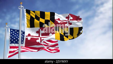 Die Staatsflagge von Maryland winkt zusammen mit der Nationalflagge der Vereinigten Staaten von Amerika. Im Hintergrund ist der Himmel klar. Maryland ist ein Sta Stockfoto