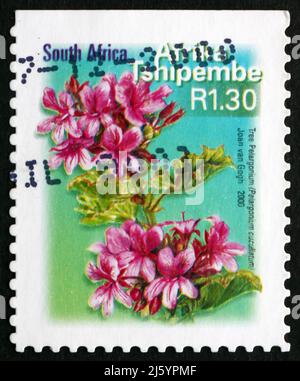 SÜDAFRIKA - UM 2000: Eine in Südafrika gedruckte Marke zeigt Tree Pelargonium, Pelargonium Cucullatum, Blühende Pflanze, um 2000 Stockfoto