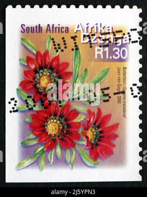 SÜDAFRIKA - UM 2000: Eine in Südafrika gedruckte Marke zeigt Botterblom, Gazania krebsiana, Flowering Plant, um 2000 Stockfoto