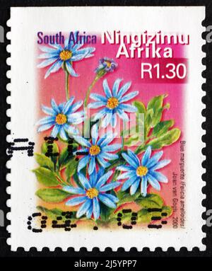 SÜDAFRIKA - UM 2000: Eine in Südafrika gedruckte Marke zeigt Blue Marguerite, Felicia Amelloides, Flowering Plant, um 2000 Stockfoto