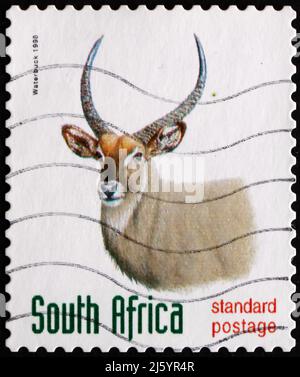 SÜDAFRIKA - UM 1998: Eine in Südafrika gedruckte Briefmarke zeigt Waterbuck, Kobus Ellipsiprymnus, Antelope, um 1998 Stockfoto