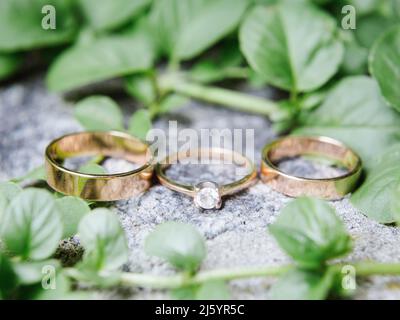 Goldene Eheringe auf Steinoberfläche mit frischen grünen Blättern, ewiges Liebeskonzept. Hochzeitsband und goldener Verlobungsring mit Diamant Stockfoto