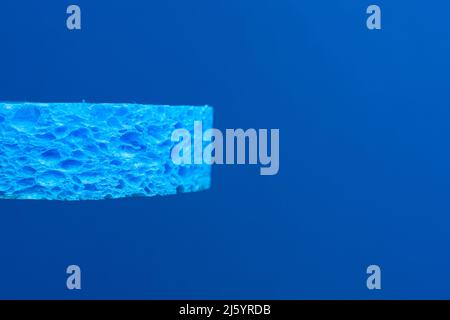 Ein blauer Schwamm vor einem blauen Hintergrund Stockfoto