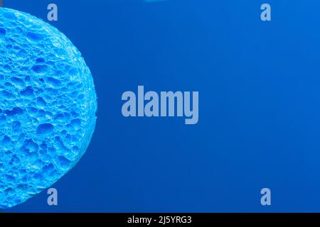 Ein blauer Schwamm vor einem blauen Hintergrund Stockfoto