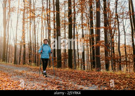 Ältere Frau mit Trekkingpolen, die im Wald spazieren gehen. Weitaufnahme einer älteren Wanderin mit Wanderstöcken, die entlang der belaubten Forest Road wandern. Stockfoto