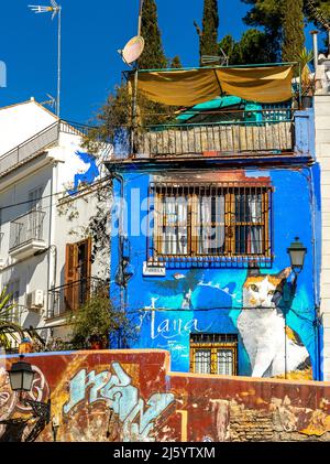 Bunte Wandbilder an den Wänden des Hauses, Calle Parrilla.Katze Wandbild unterzeichnet Tana. Wall Street Art im Barrio Realejo, Granada Spanien Stockfoto