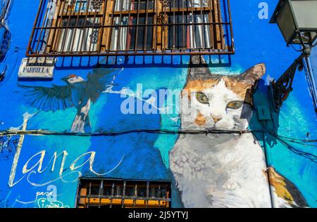 Bunte Wandbilder an den Wänden des Hauses, Calle Parrilla.Katze Wandbild unterzeichnet Tana. Wall Street Art im Barrio Realejo, Granada Spanien Stockfoto