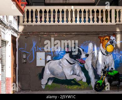 Wandbild mit zwei Hunden, einem Ball im Mund. Calle Santiago, Granada, Spanien Stockfoto