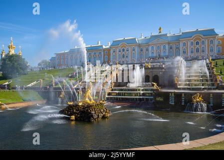 PETRODVORETS, RUSSLAND - 03. JULI 2015: Sonniger Julitag an der Großen Kaskade. Palast und Parkanlage Peterhof Stockfoto