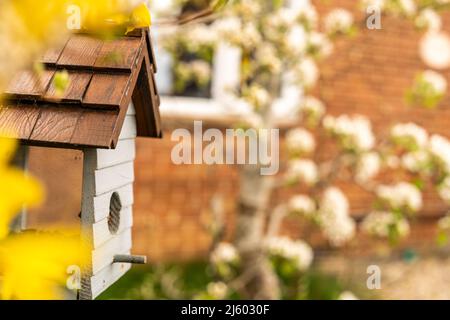Vogelfutterhäuschen in Form eines kleinen Hauses mit Glas an den Seiten, um Vögel davon essen zu sehen. Vogelhaus aus Holz in weiß und braun, Vogelhaus für Stockfoto