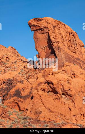 Overton, Nevada, USA - 11. Dezember 2010: Valley of Fire. Nahaufnahme des Porträts mit eisigem roten Felsen über felsigen Ausbissen unter blauem Himmel und trockenem gre Stockfoto