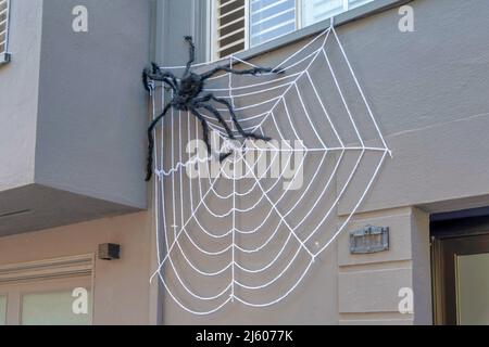 Schwarze Plüschspinne auf einem Haus in San Francisco, Kalifornien Stockfoto