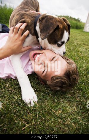 Kleiner Junge mit Boxer Hund Welpen. Stockfoto