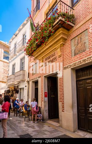 Straßen von Malaga. Vertikale Fotografie der Altstadt von Malaga kleine Straßen , Promenade mit Geschäften und Restaurants. Das Berühmte Restaurant „El Pimpi“ Stockfoto