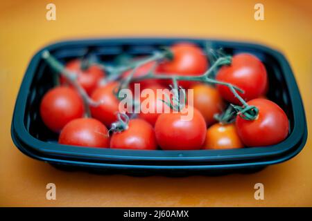 In New York wurden am Dienstag, dem 19. April 2022, in der Tablettverpackung heiße Tomaten angebaut. (© Richard B. Levine) Stockfoto