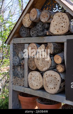 Habitatstruktur von Bienen und Wespen mit gebohrten Löchern, in denen Insekten überwintern und nisten können. Stockfoto