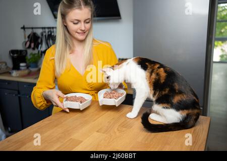 Eine junge Frau füttert ihre Katze mit nassem Futter in ihren Händen, während die hungrige Katze auf der Küchentheke sitzt Stockfoto