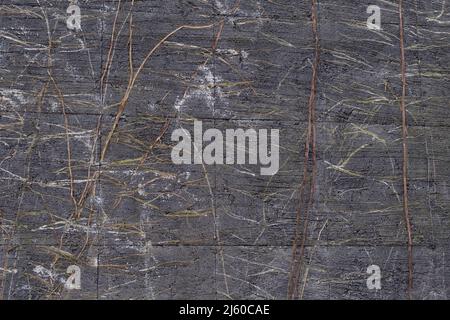 Graue Betonblockwand mit getrockneten Zweigen und Rissen Stockfoto