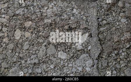 Nahaufnahme der verwitterten, zerbröckelnden grauen Betonwand Stockfoto