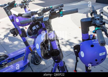 Gruppe von Beam E-Scootern mit Helmen zum Mieten im Stadtzentrum von Canberra, ACT, Australien Stockfoto