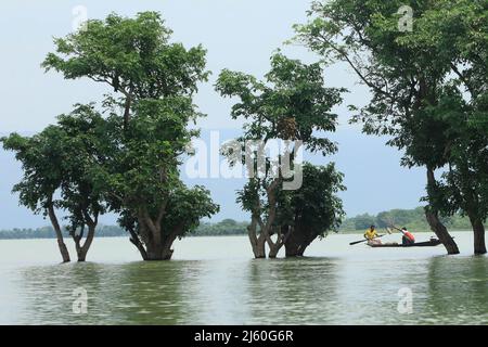 Die Fischer kontrollieren ihre Fischernetze im Tanguar Haor in Sunamganj. Tanguar Haor ist ein Feuchtgebiet im Bezirk Sunamganj im Großraum Sylhet in Bangladesch. Dieser Haor erstreckt sich über eine Fläche von etwa 100sq km und ist das zweitgrößte Süßwasser-Feuchtgebiet in Bangladesch. Für die Einheimischen ist der Haor auch als Nayakuri Kandar Chayakuri Beel bekannt. Stockfoto