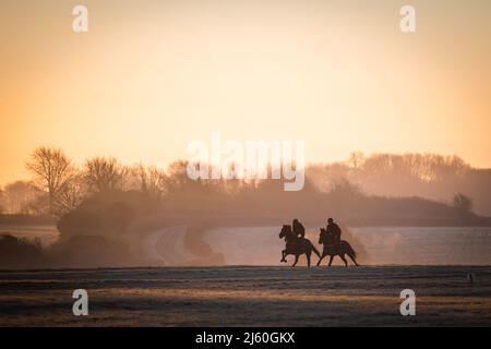 Rennpferde trainieren bei Sonnenaufgang in den Galops über dem Oberen Lambourn in den Berkshire Downs. April 2022 Stockfoto