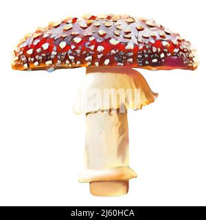 Amanita Pilz Stockfoto