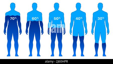 Männlicher Körper mit unterschiedlichen Wasserstiveau-Prozentsätzen, isoliert auf weißem Hintergrund. Man Körper Wasser Zusammensetzung Vektor Illustration. Stock Vektor
