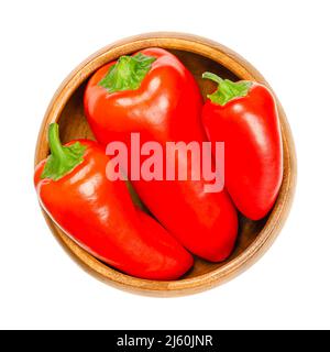 Naschen Sie rote Mini-Paprika, in einer Holzschüssel. Reife und frische Paprika, auch Capsicums genannt. Früchte der Sorten Capsicum annuum. Stockfoto